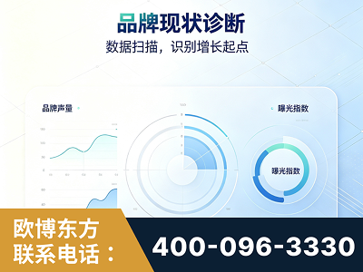 宁乡-品牌现状诊断