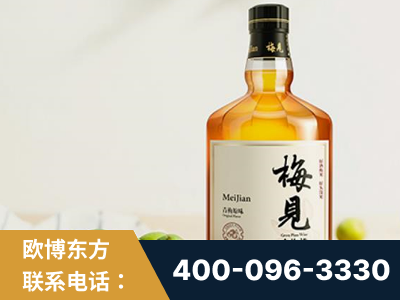 宁乡-梅见青梅酒
